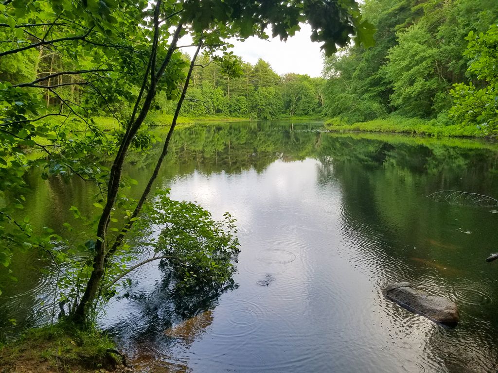 Noon Hill Reservation