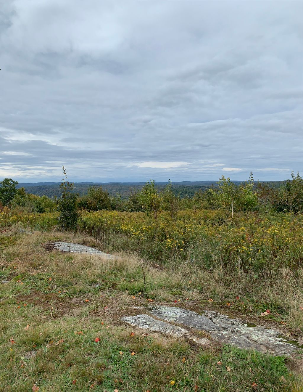 Old Baldy Summit