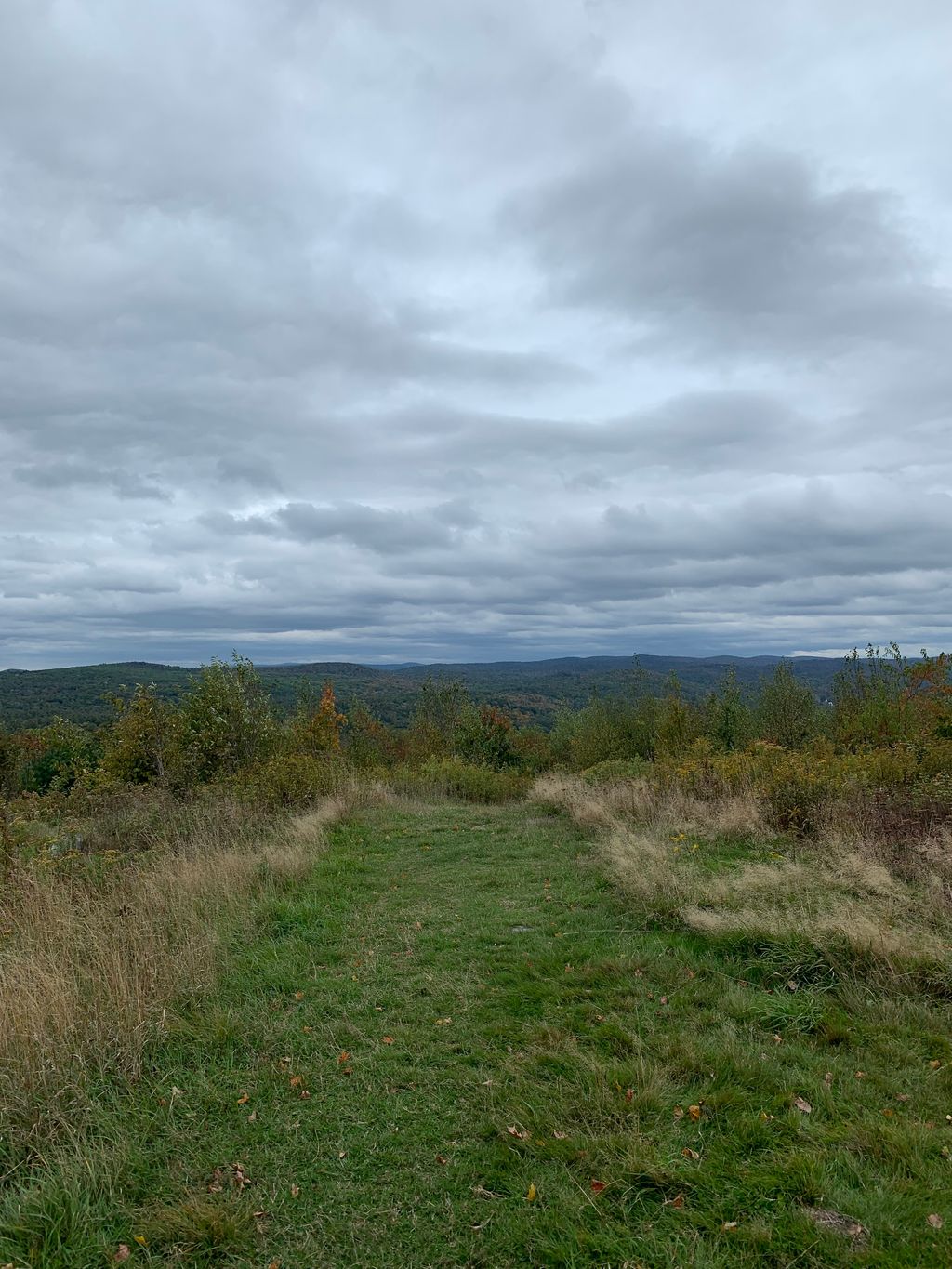 Old Baldy Summit