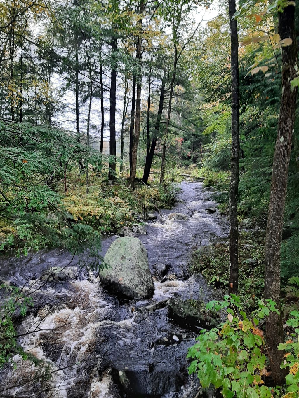 Otis State Forest