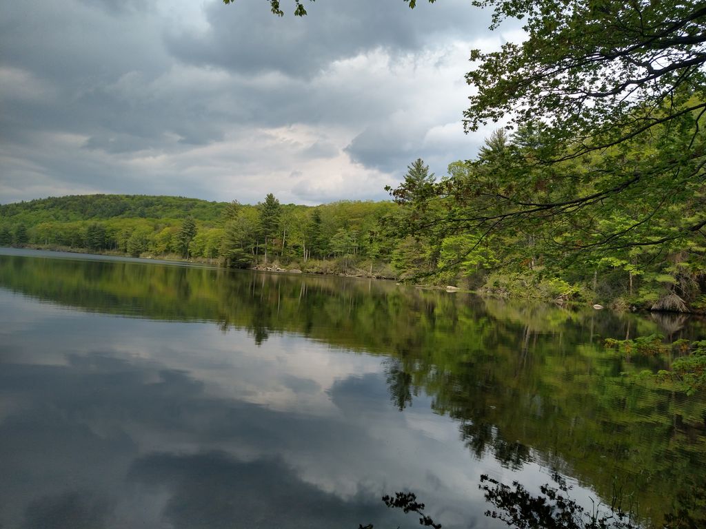 Otis State Forest