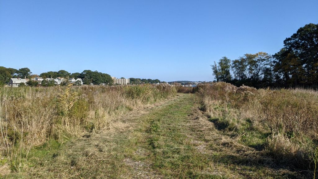 Passanageset-Park-at-Broad-Meadows-Marsh