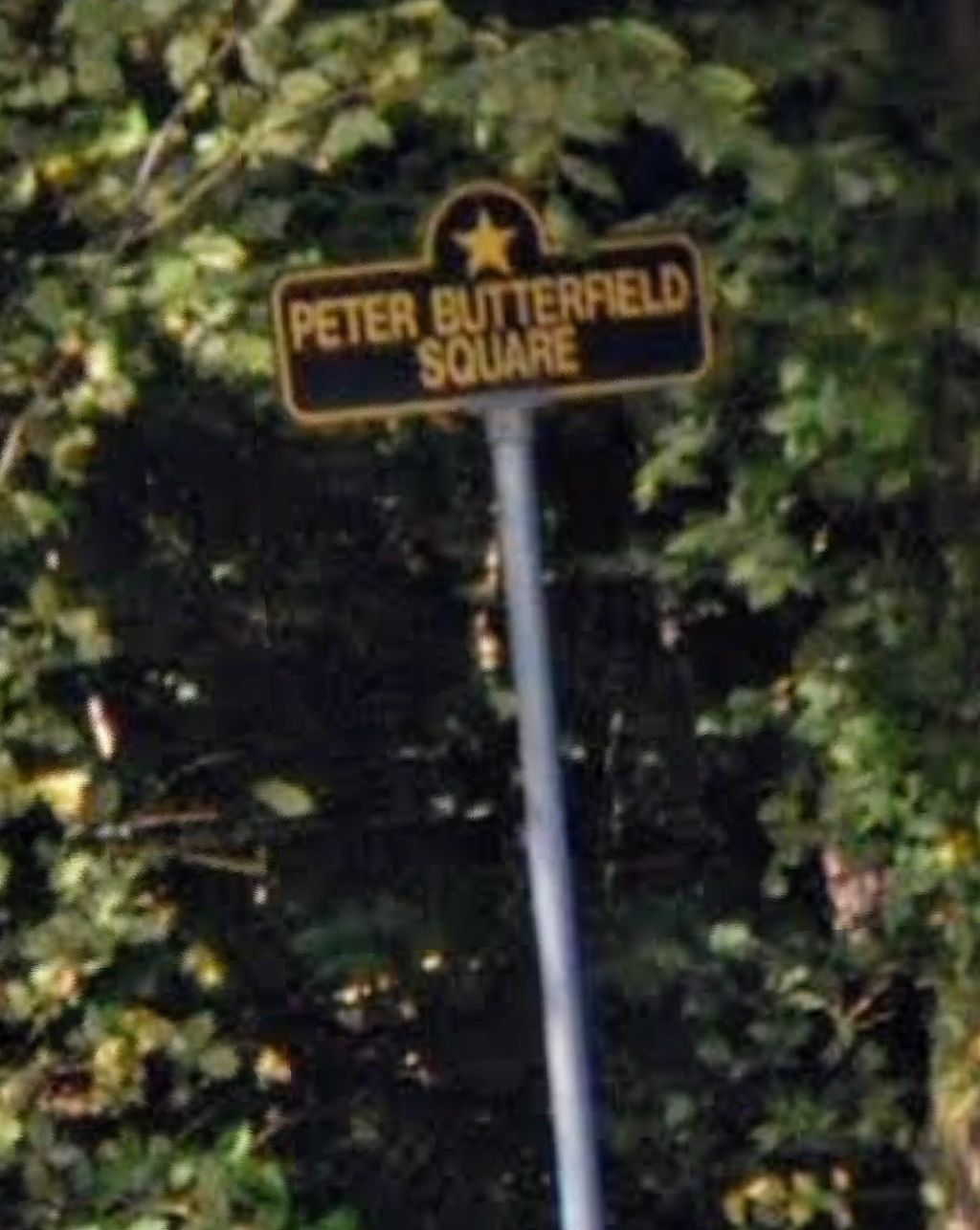 Peter Butterfield square