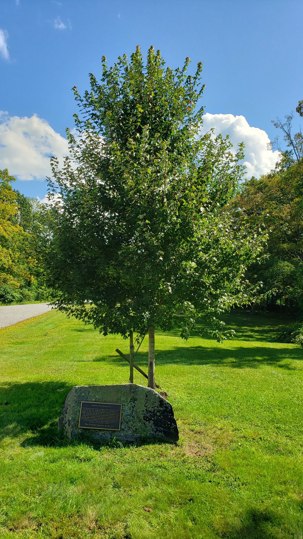 Phillipston Liberty Tree Memorial