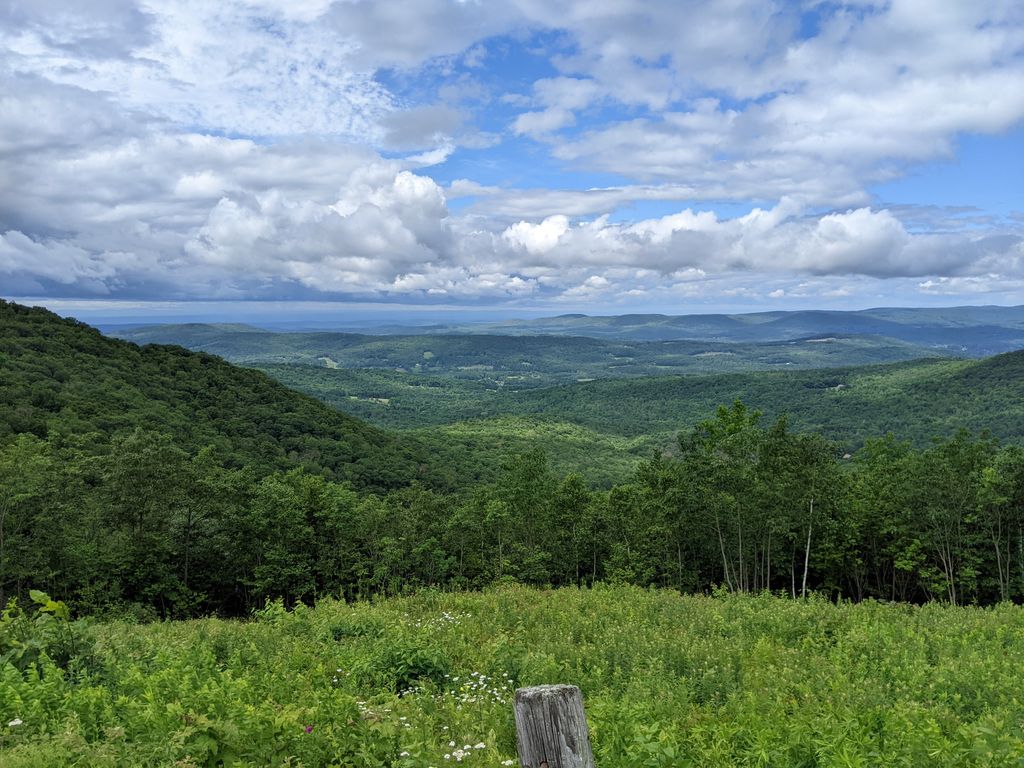 Pittsfield State Forest