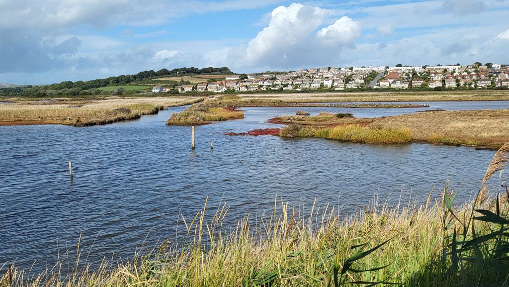 RSPB-Lodmoor-1