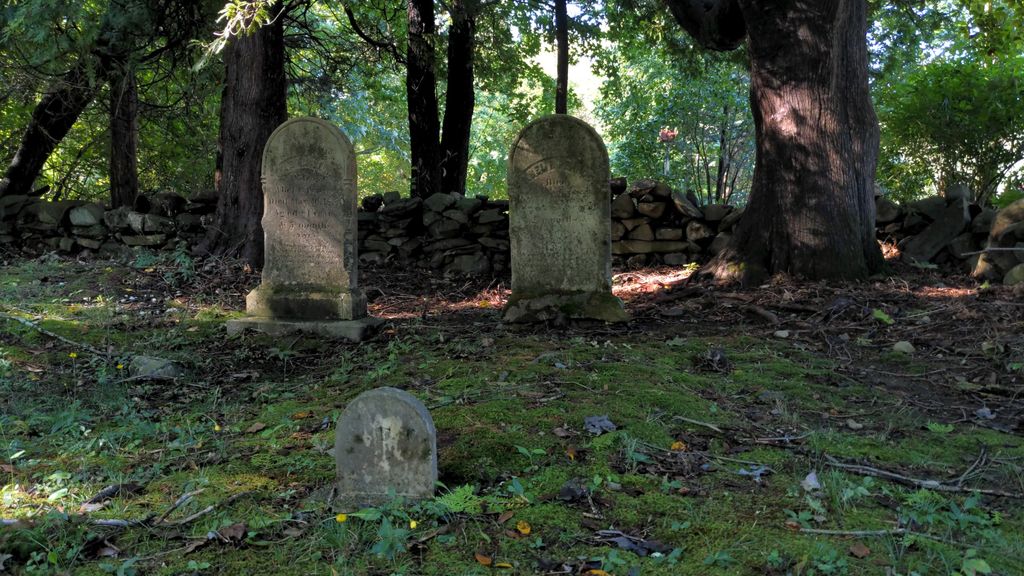 Rehoboth Historic Cemetery 17