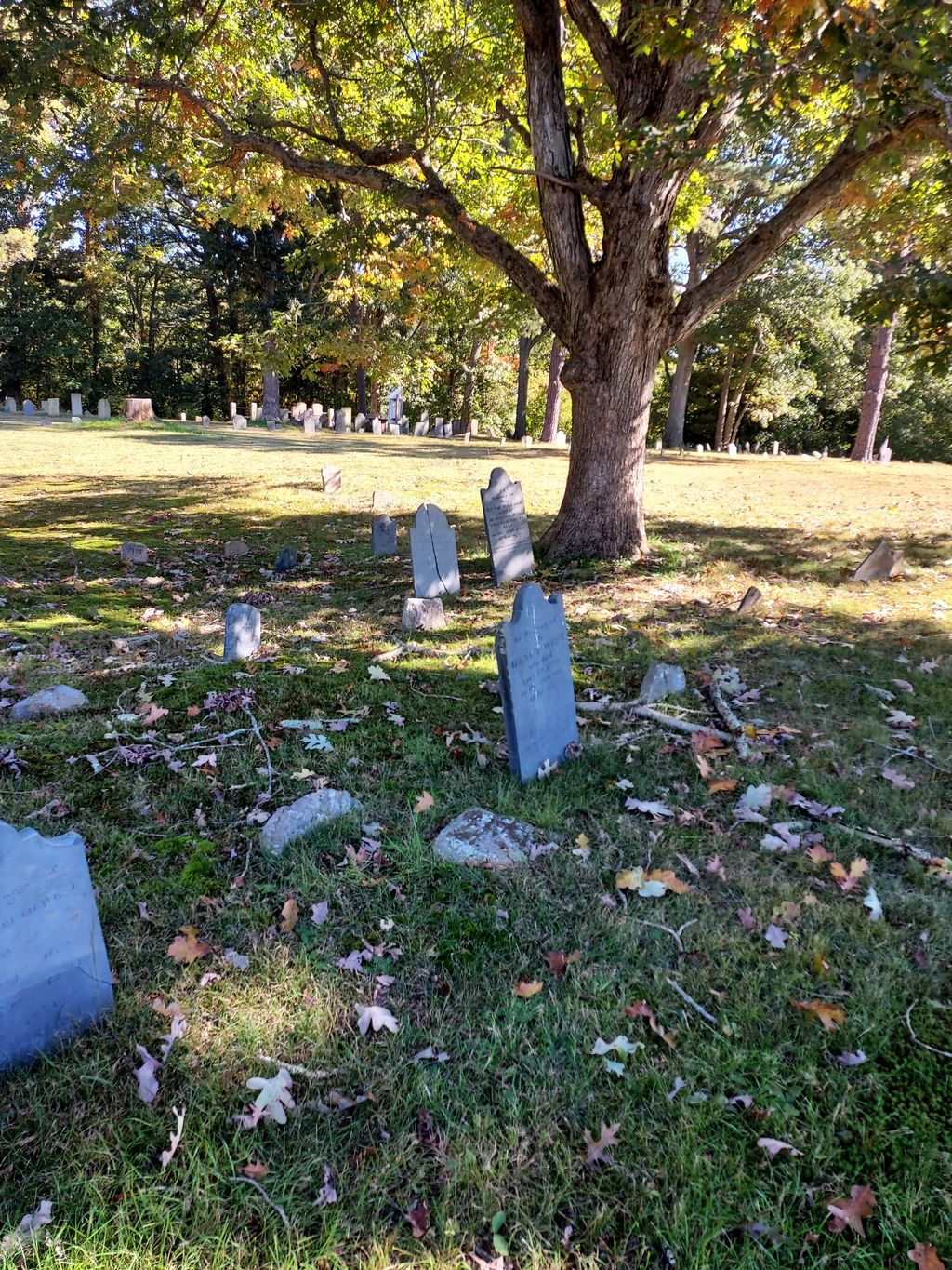 Rehoboth Historical Cemetery 33