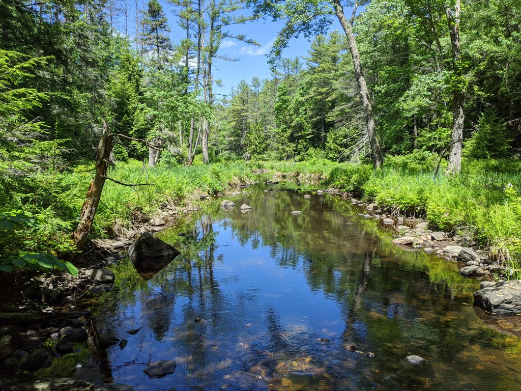 Rutland Brook Wildlife Sanctuary