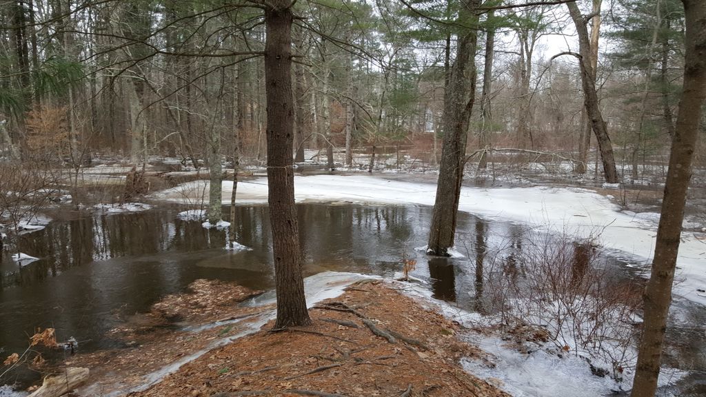 Sachem Rock Farm