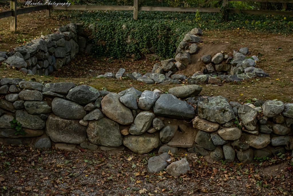 Samuel Parris Archaeological Site