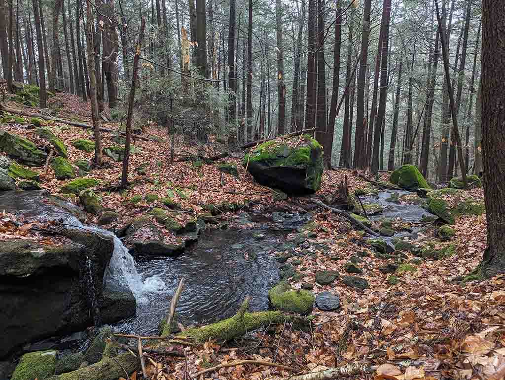 Schoolhouse Lake Dam