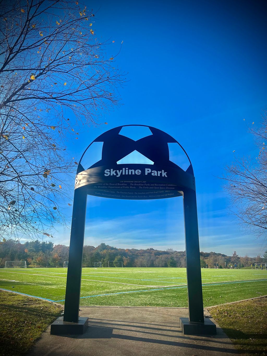 Skyline-Park-2