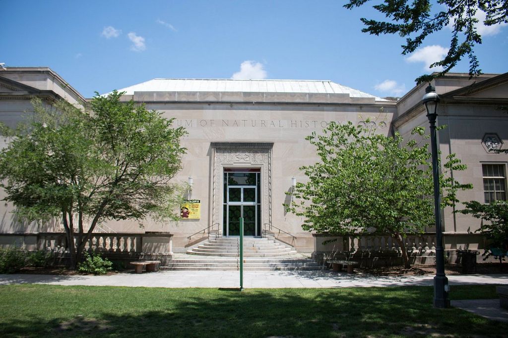 Springfield-Museums-1