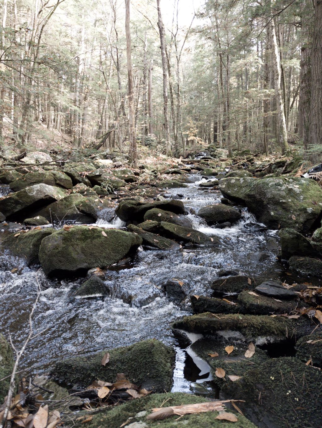 Swift River Reservation