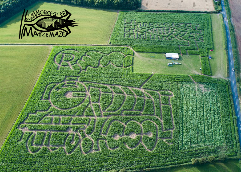 The-Great-Worcester-Maize-Maze-1