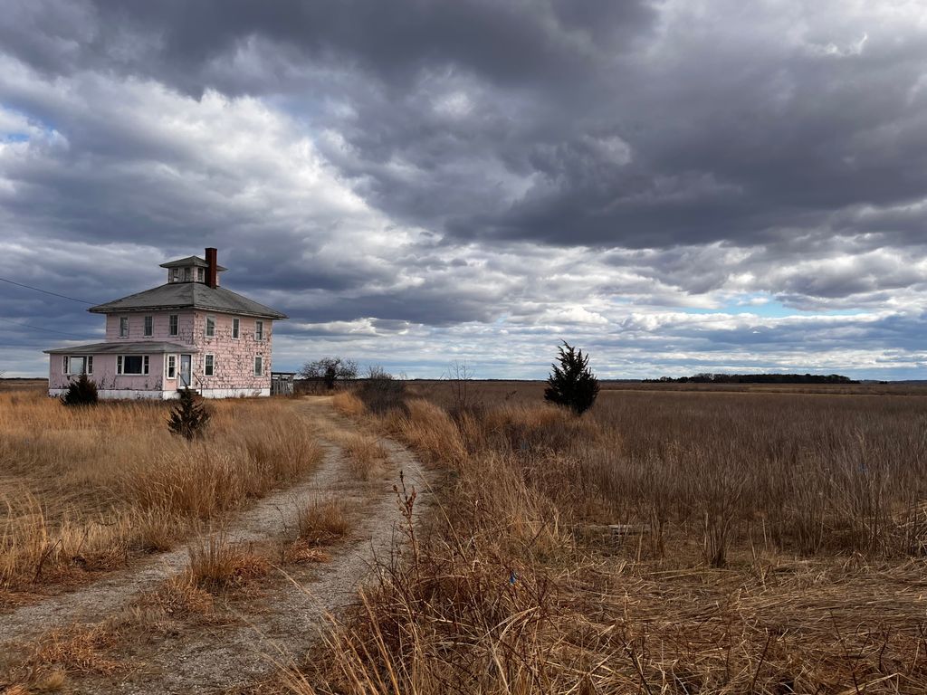 The Pink House