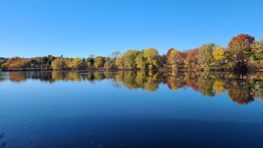 The-RiverWalk-Waltham-MA