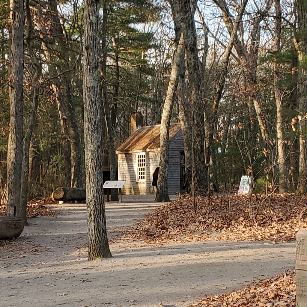 Thoreau Cabin Site