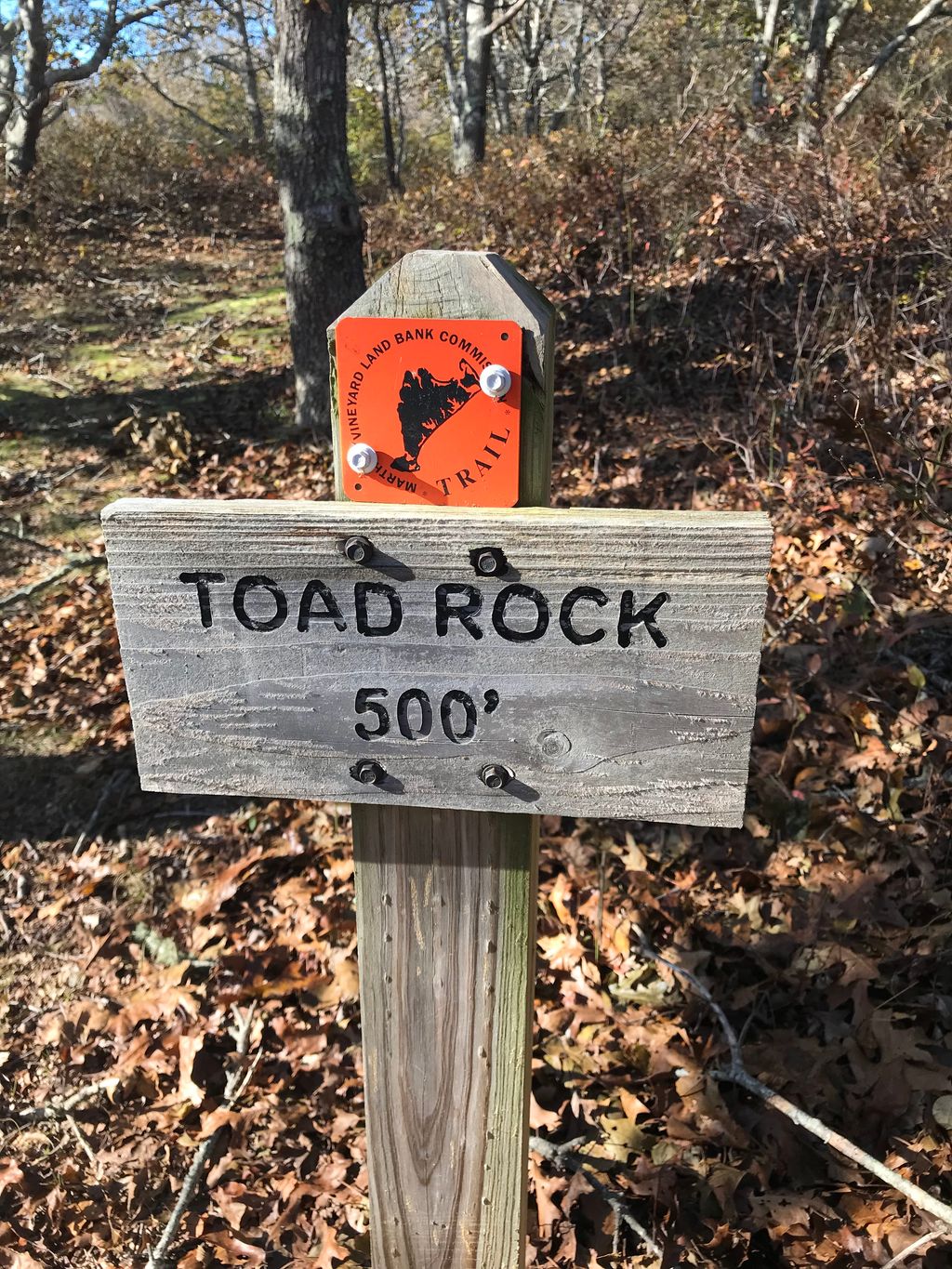 Toad Rock