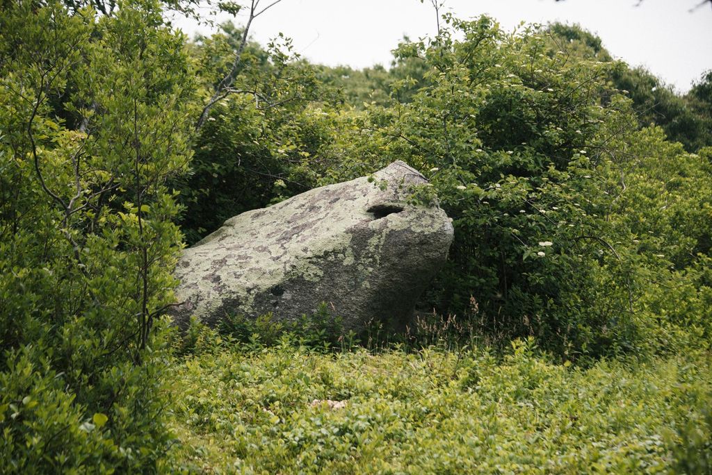 Toad Rock