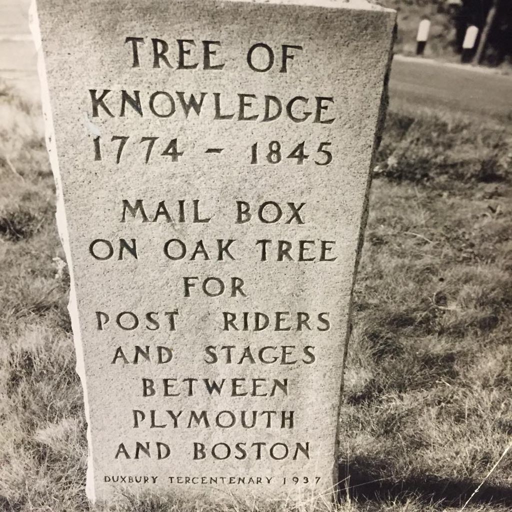 Tree-of-Knowledge