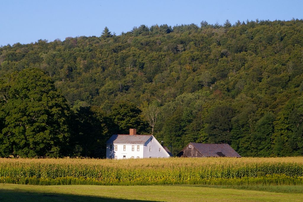 Wilder Homestead Museum