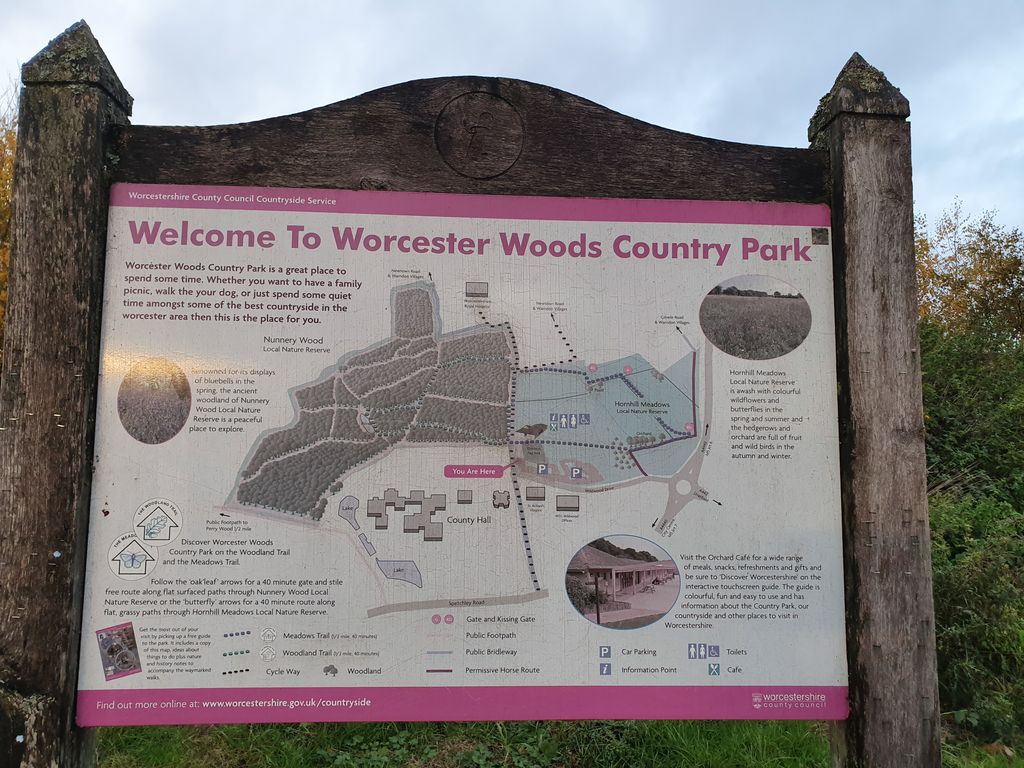 Worcester-Woods-Country-Park-3