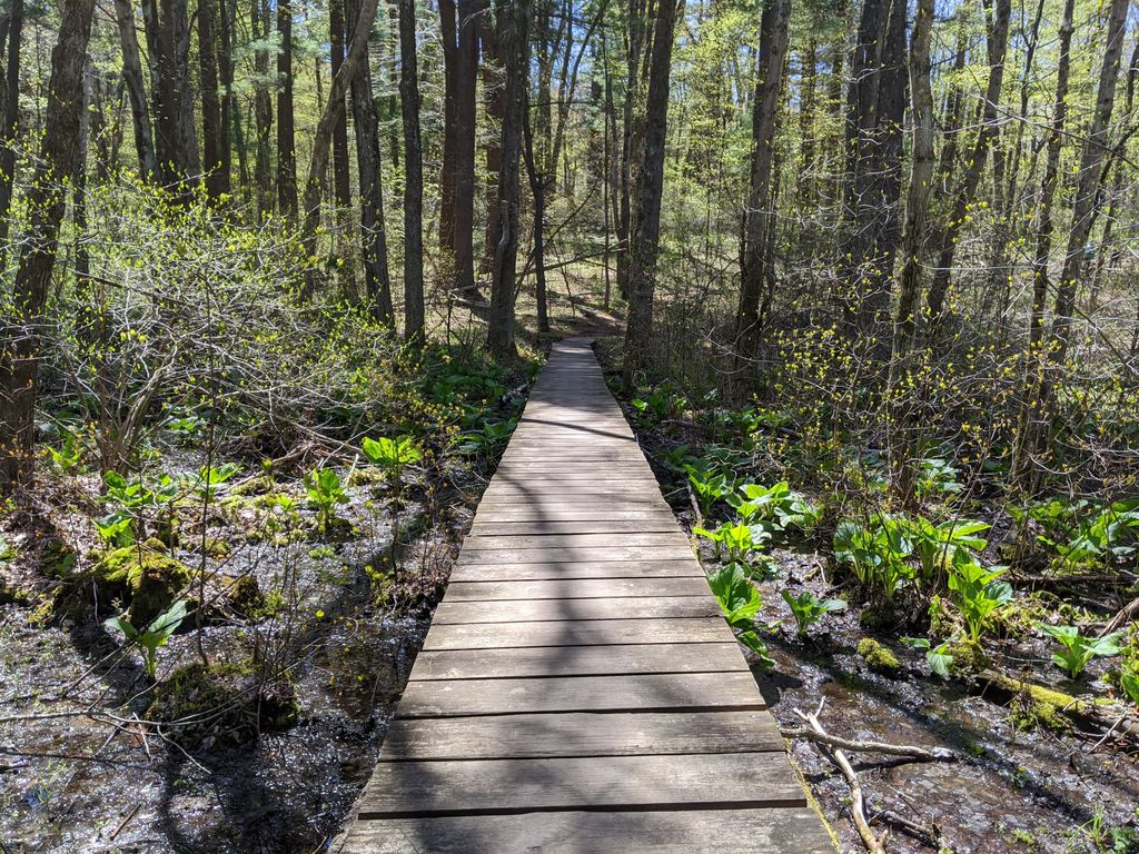 trailhead to Burlington Landlocked Forest