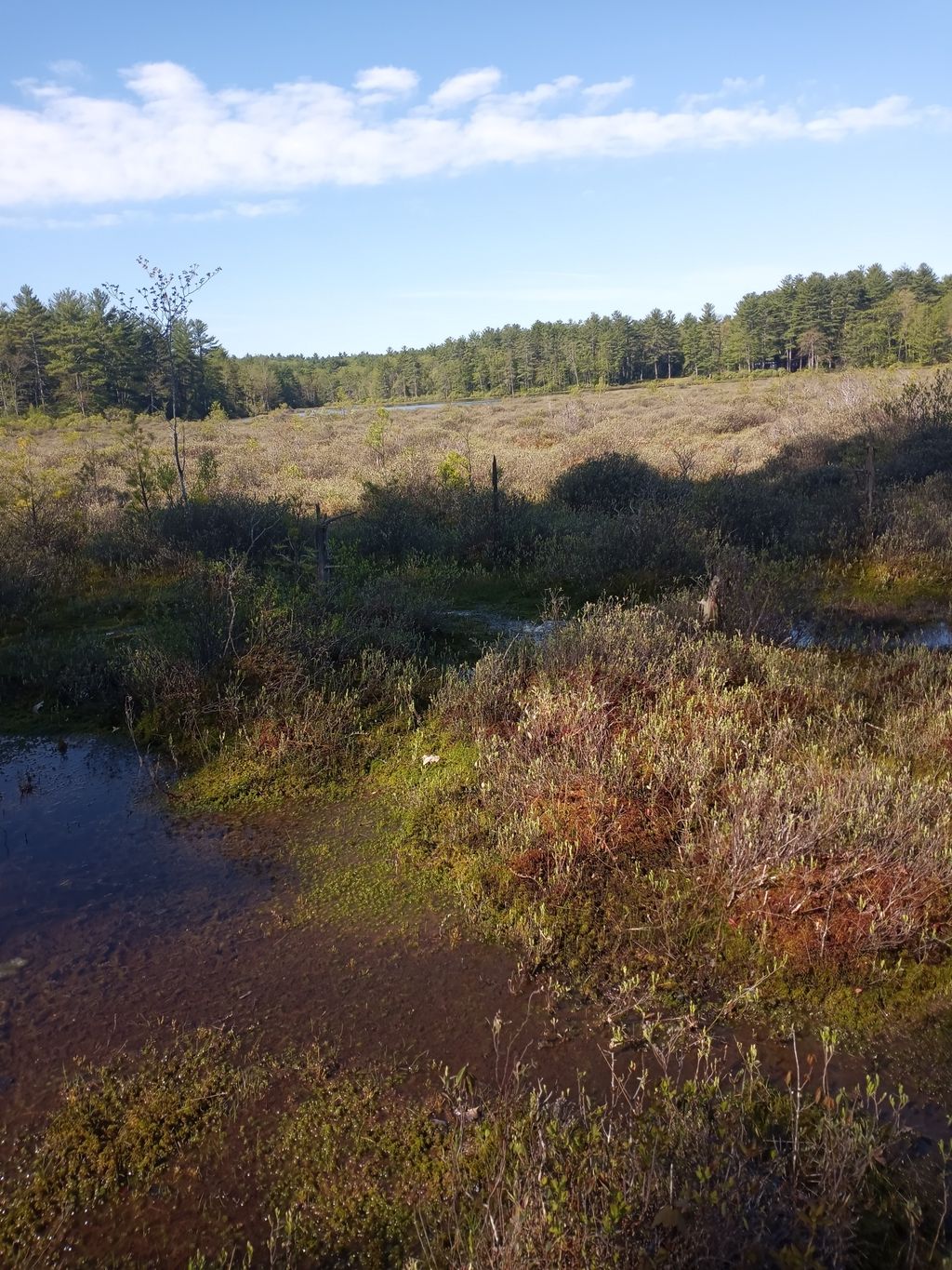 Ames-Pond