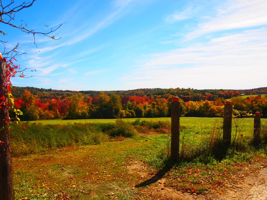 Ashland-Farms