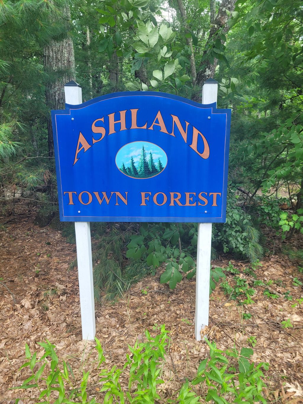 Ashland-Town-Forest-Trailhead-1