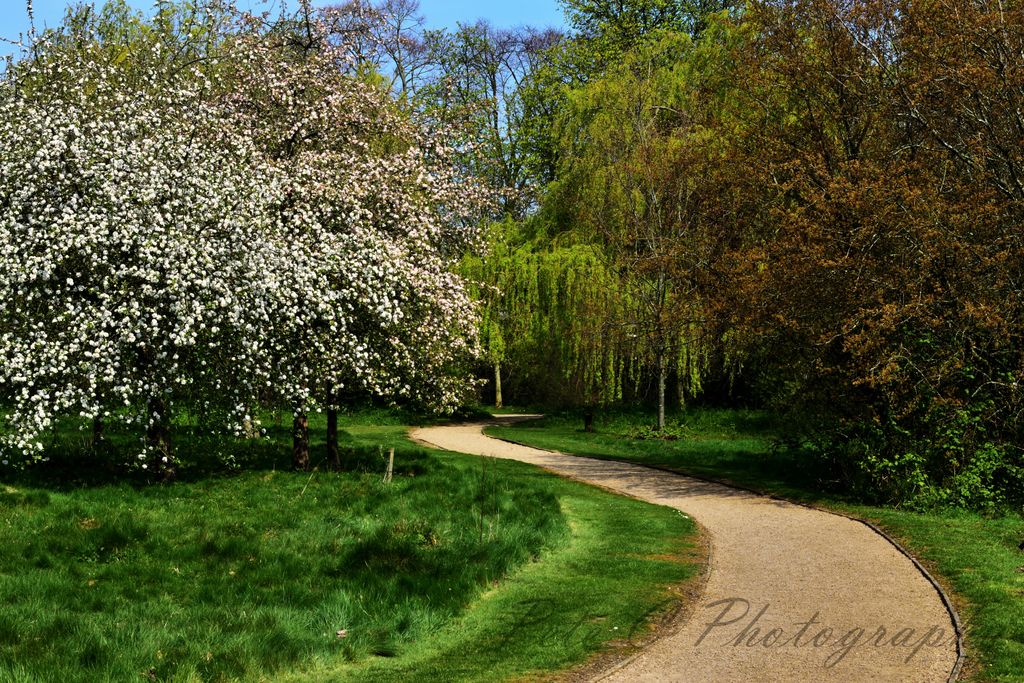 Attenborough-Arboretum