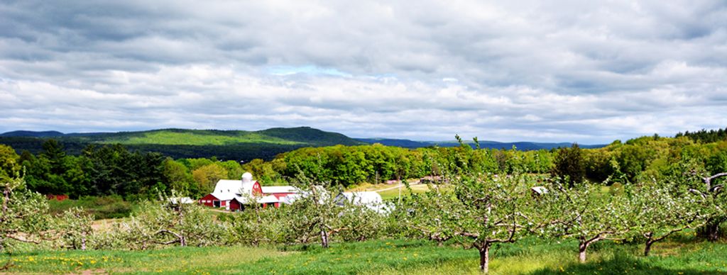 Bashista-Orchards