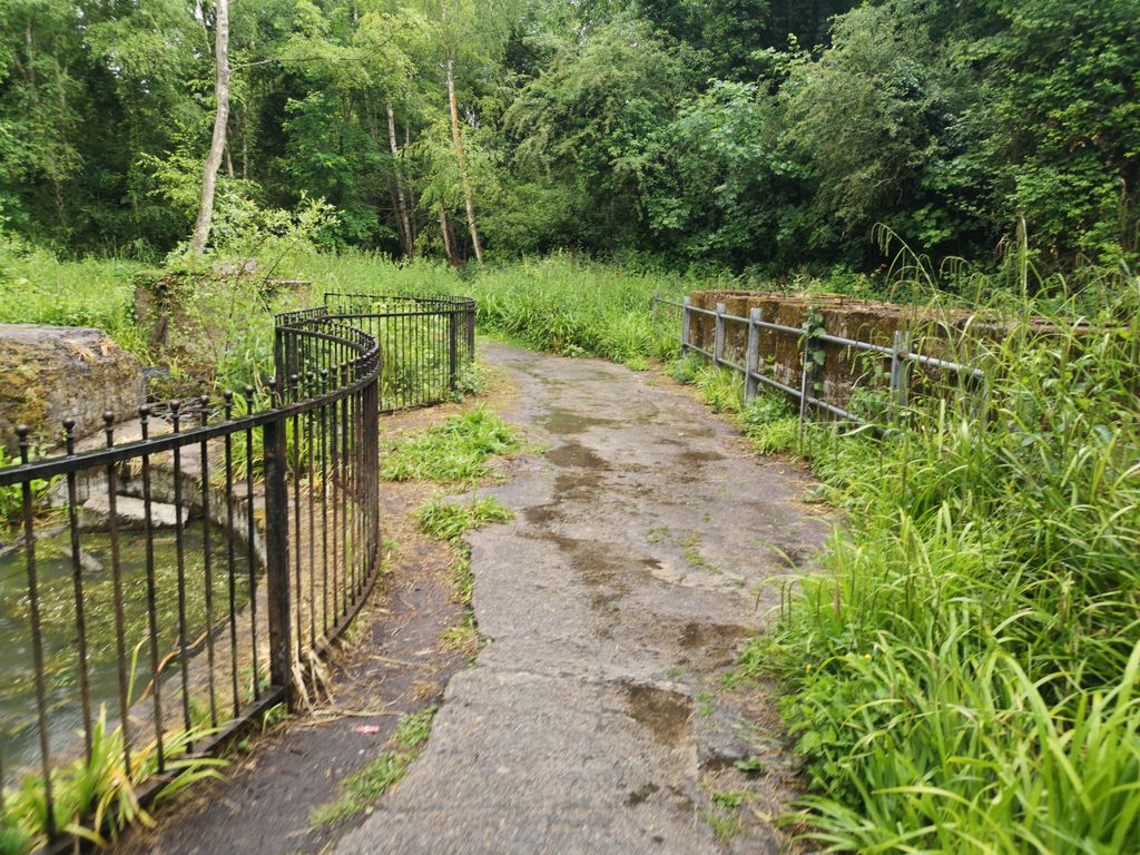 Berengrave-Nature-Reserve