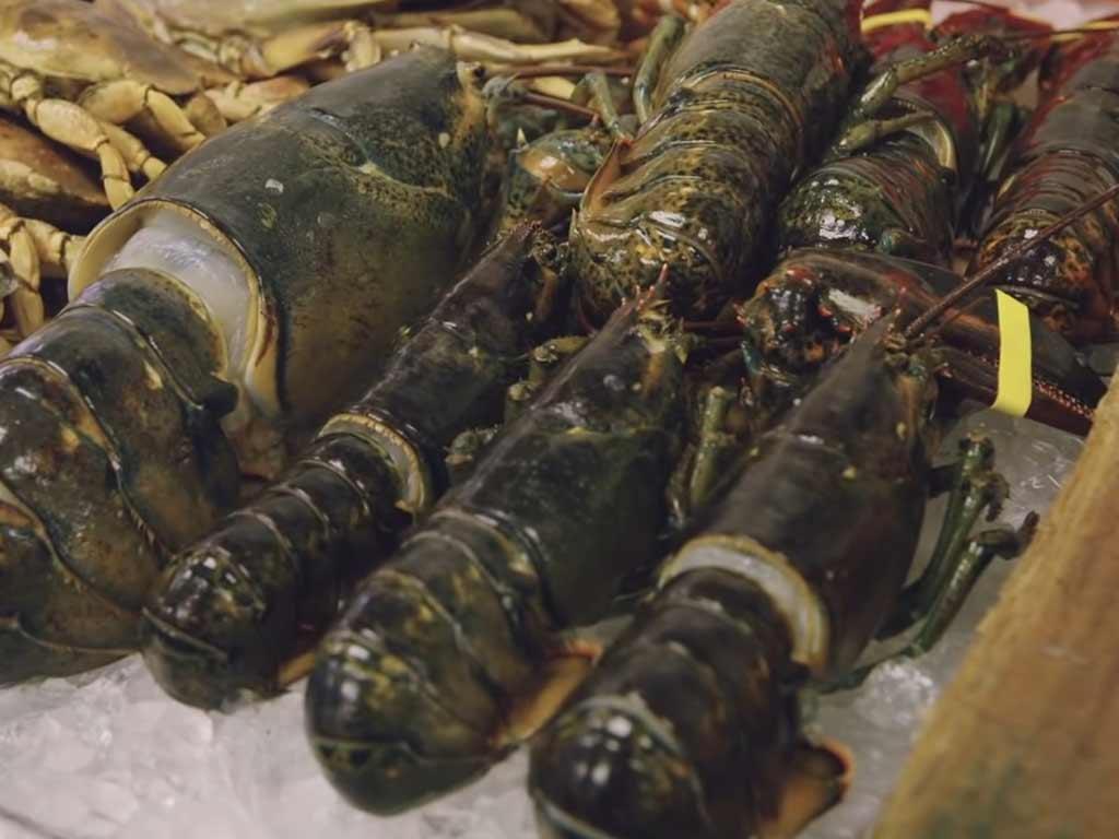 Quality of Lobsters