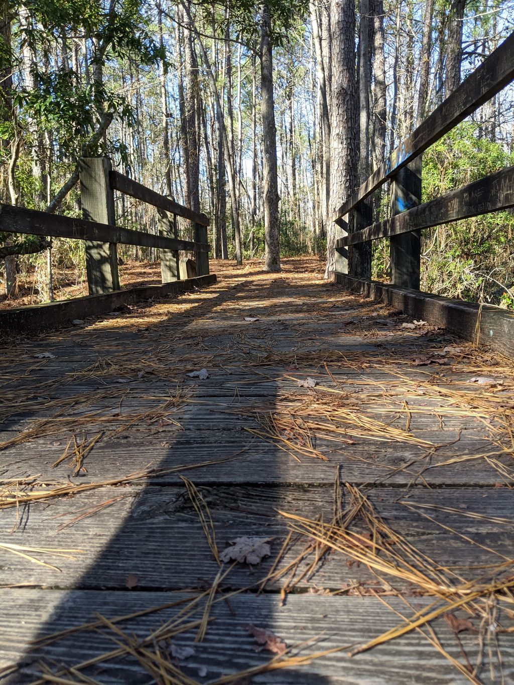 Bluethenthal-Wildflower-Preserve