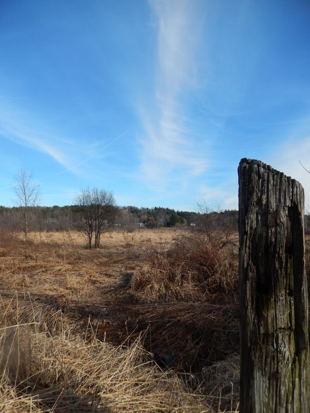 Bolton-Flats-Wildlife-Management-Area-2