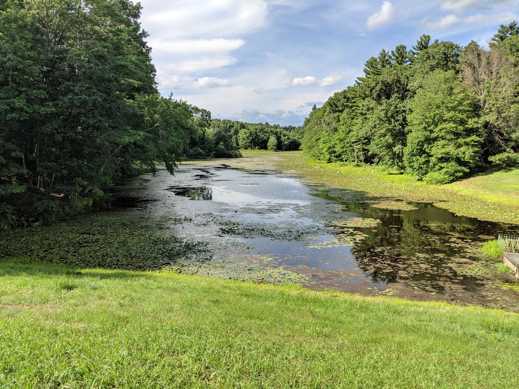 Brewer-Brook-Dam-Trail-1