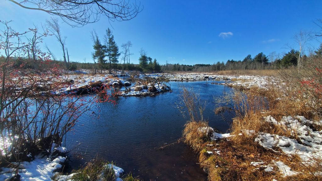 Brimfield-Trail-1