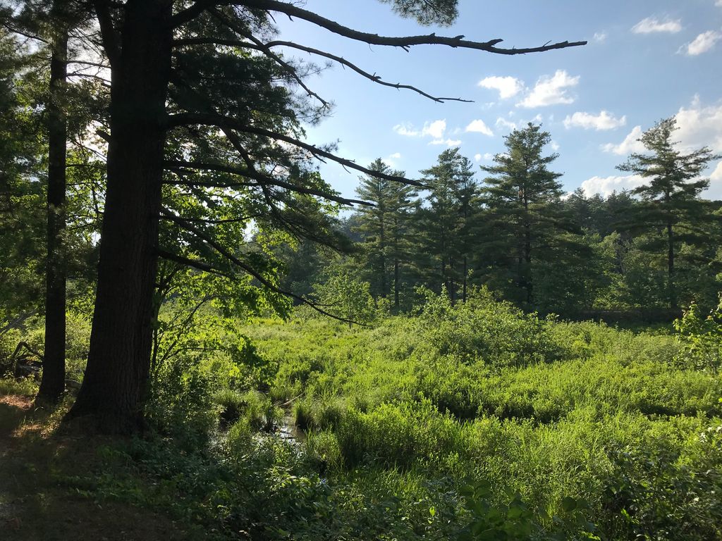 Brimfield-Trail-Five-Bridge-Road-Parking-area