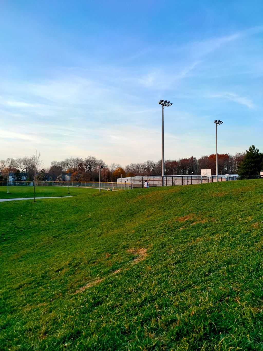 Bronte-Meadows-Park-1