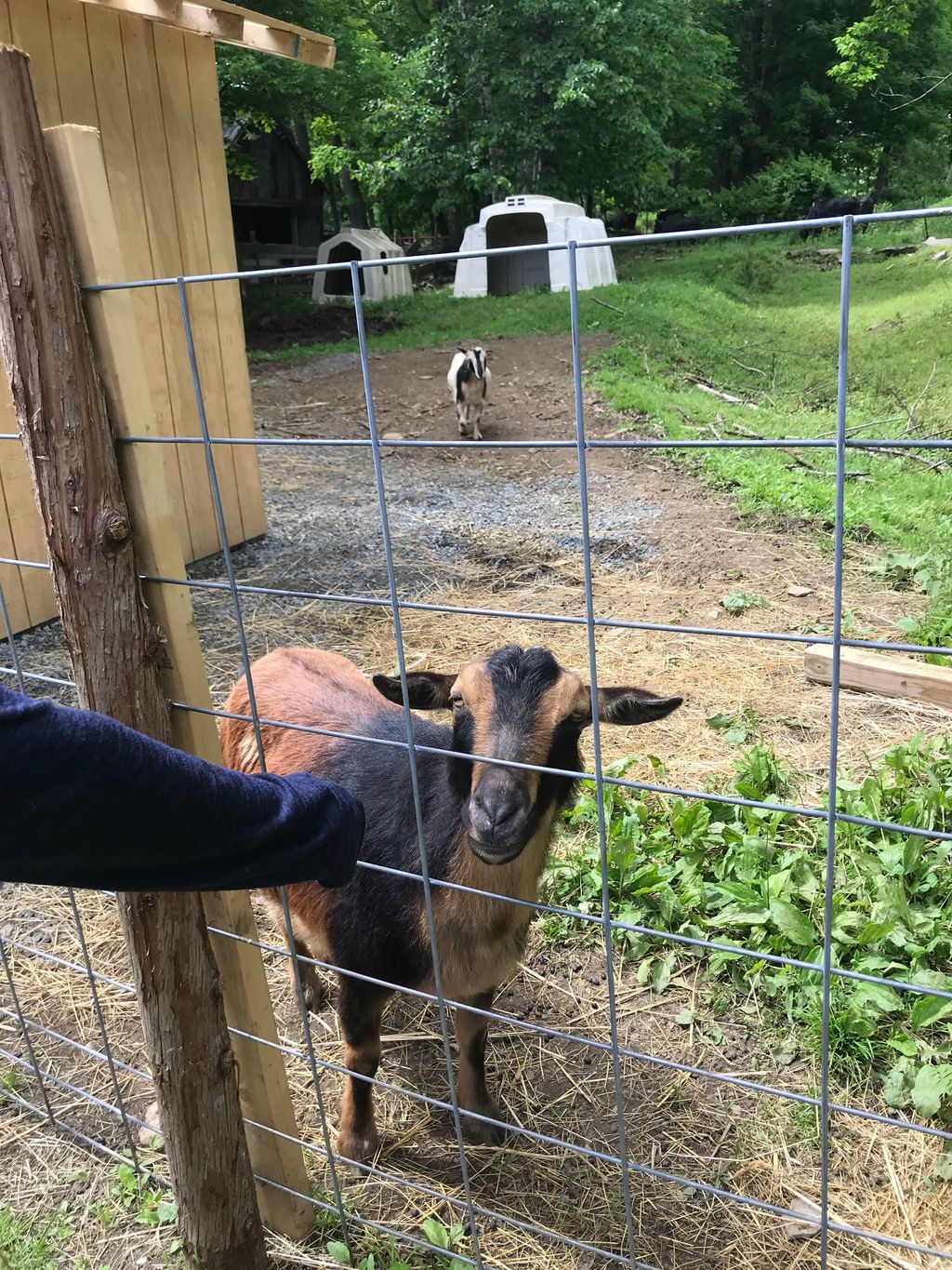 Brook-Farm-Walking-Trail-1