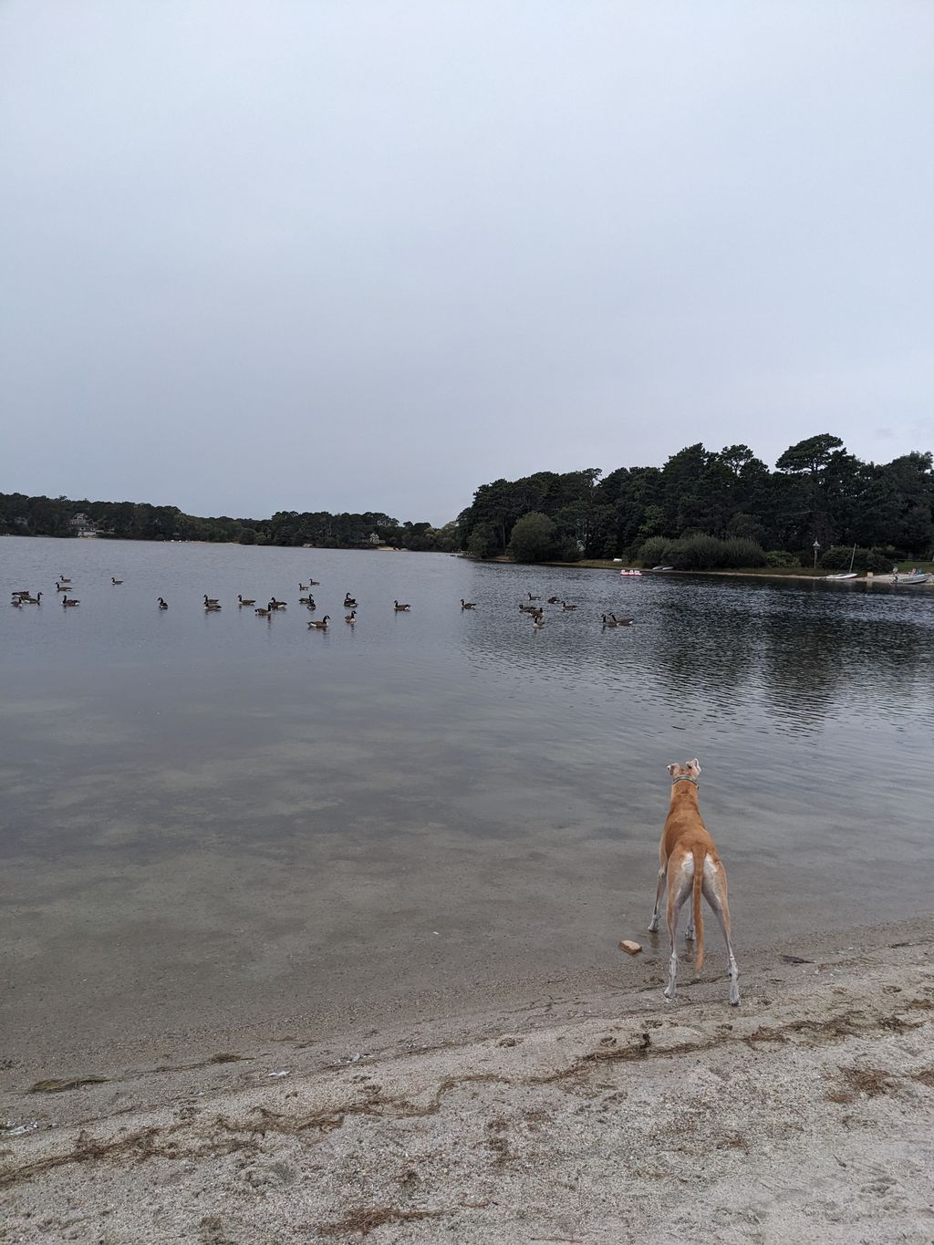 Bucks-Pond-Beach