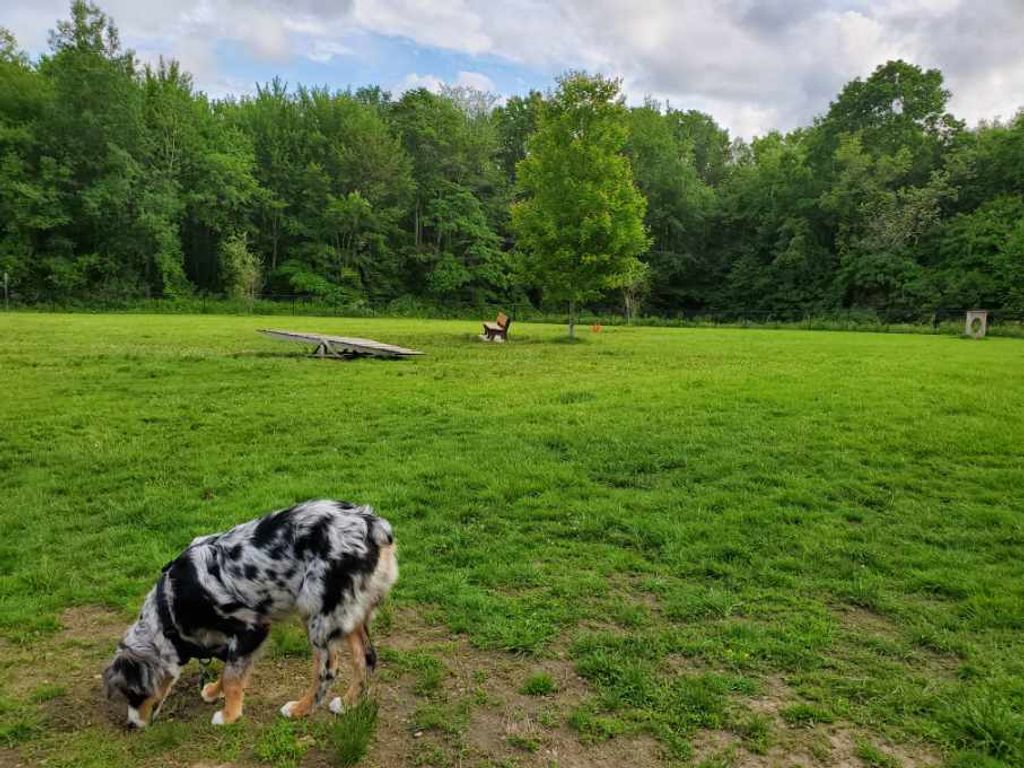 Butler-Farm-Dog-Park