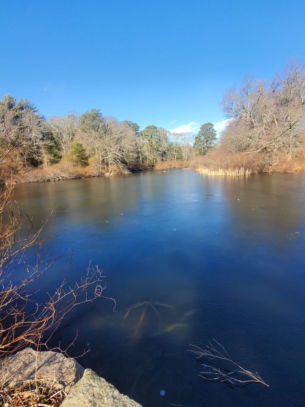 Carter-Beal-Conservation-Area-1