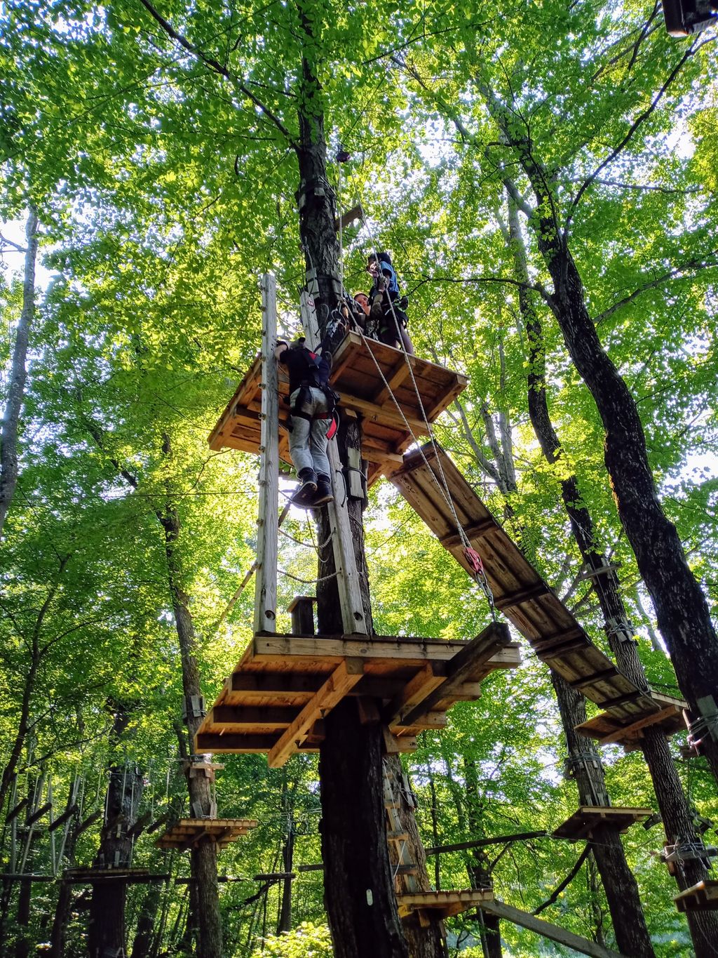 Catamount-Aerial-Adventure-Park