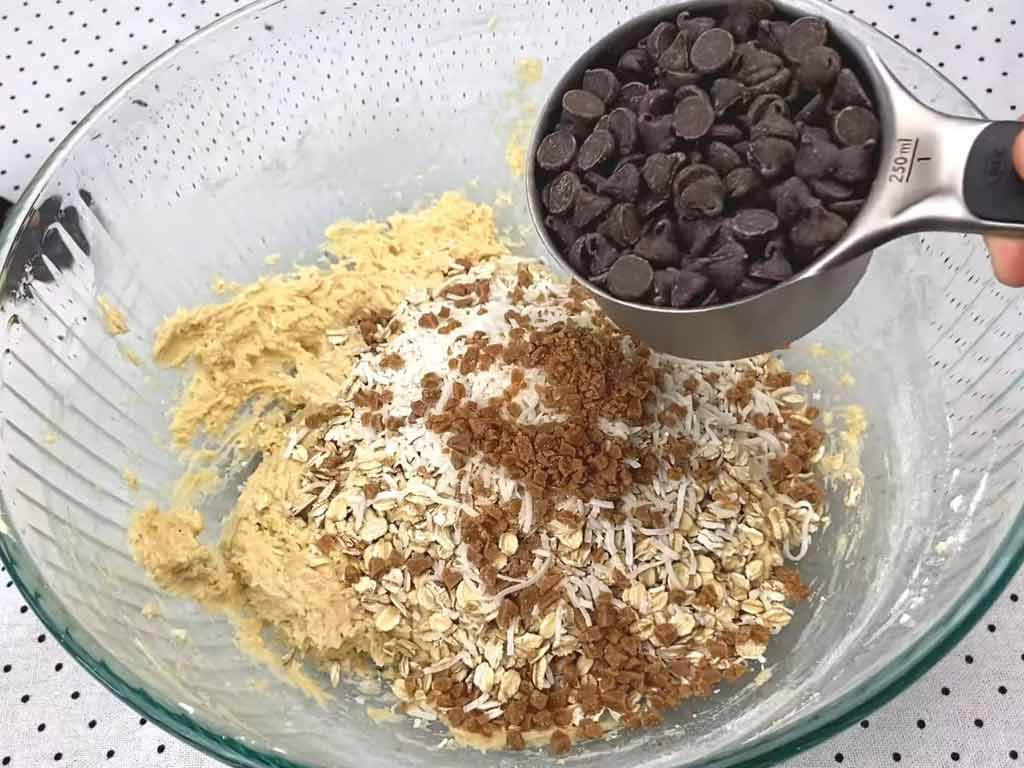 Ingredients Needed to Make Chocolate Chip Oatmeal Coconut Cookies?
