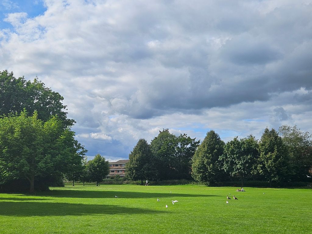 Christchurch-Meadows