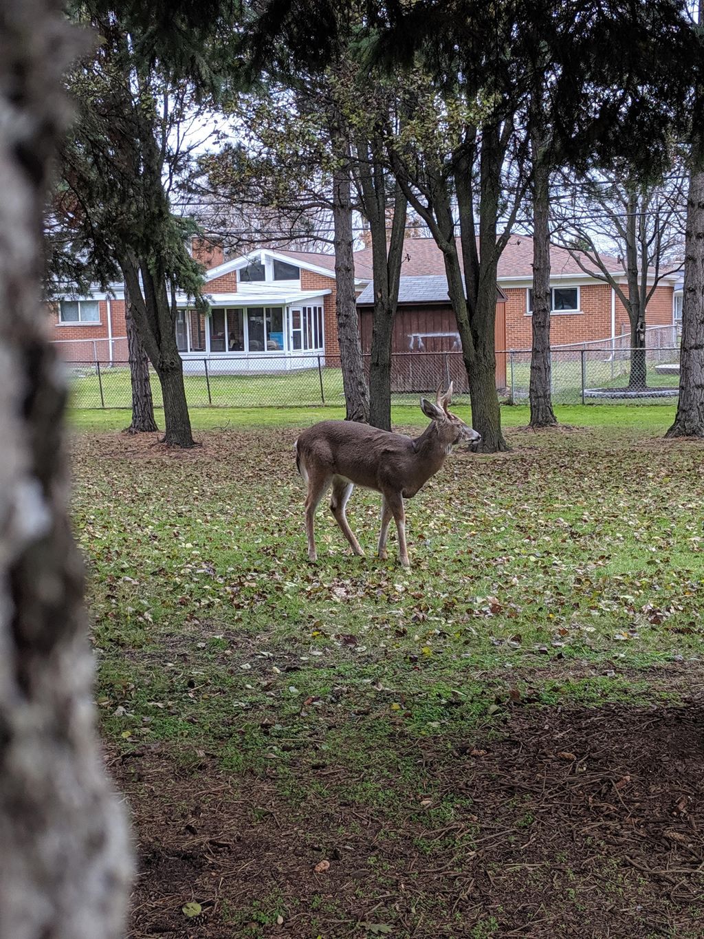 City-of-Warren-Hartsig-Park-1